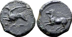 Sicile - Kainon (Alaisa) - Griffon / Cheval