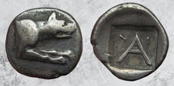 Argolide - Argos - Loup