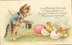 Chats - Bonjour petits poussins