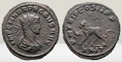 Probus - Lion