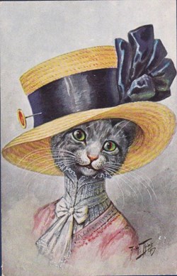 Arthur Thiele - Chats - Série 1118 T.S.N. - Portrait - Chatte au chapeau