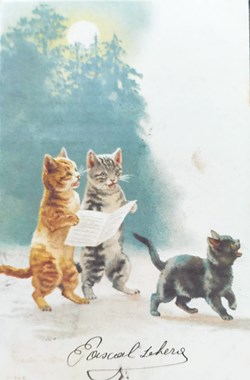 Chats - Chantons sous la lune