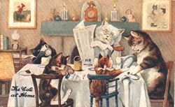 Chats - Famille à la Maison - The Cats at Home - Le Petit Déjeuner - 4359