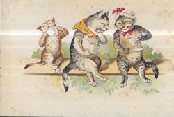 Chats - Commères sur un banc