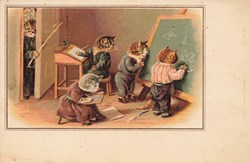 Chats - British family -  École - Dessins au tableau