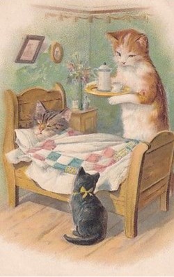 Chats - Malade 3