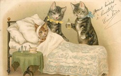 Chats - Malade 2