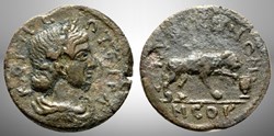 Caracalla - Mysie - Cysique - Koré - Panthère