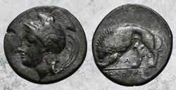 Lucanie - Velia - Lion