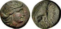 Thrace - Lysimacheia - Lion assis