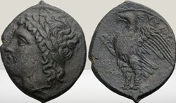 Sicile - Syracuse -Zeus Hellianos - Aigle
