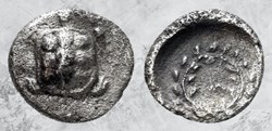 Lesbos - Methymna - Tortue