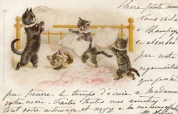 Chats - Coucher - Bataille de polochons