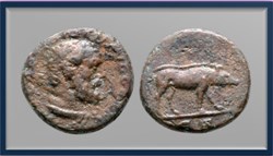 Trajan- Sanglier - quadrans