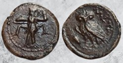 Lucanie - Metapontion - chouette