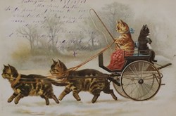 Chats - Calèche