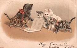 Chats - Chatons - Raconte nous une histoire - N°868