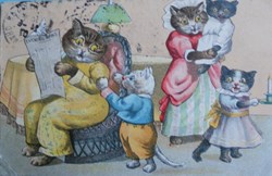 Chats - Thompson ?  - Famille à la maison