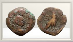 Vespasien - Egype - Alexandre- Faucon - obole