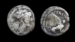 République romaine - Carisia - Sphinx - Titus Carisius, T•CARISIVS III•VIR