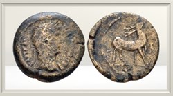 Hadrien - Egypte - Alexandrie - Cerf