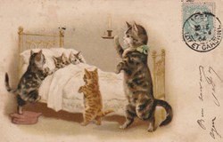 Chats - Coucher