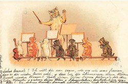 Chats - Orchestre