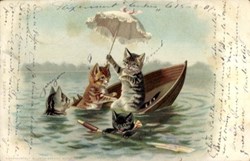 Chats - Chavirement de la barque