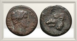 Hadrien - Mysie - Hadrianothera - Ours - RPC III 1629