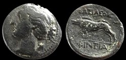 Sicile - Agrigente - Artémis / sanglier / Phintias