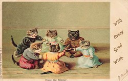 Chats - British family - Jeux - Chasse à la pantoufle