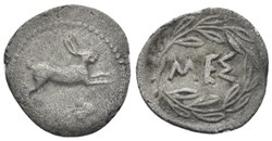 Sicile - Messine - Lièvre