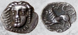 Campanie - Phistélia - Lion