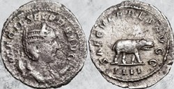 Otacilia Severa - Hippopotame