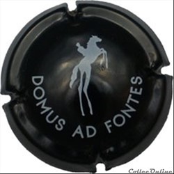 Domus Ad Fontes
