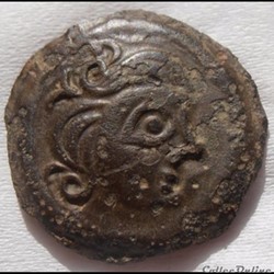 bronze au sanglier