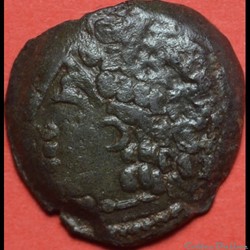 DT 687 bronze Lingon EKPITO