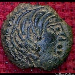 Série 556 DT 2636 Bronze YLLYCCI