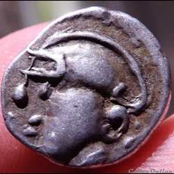 Denier à la tête casquée