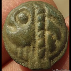 Potin leuque au sanglier à droite ( classe  I c )