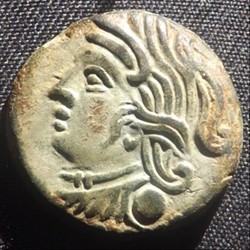 DT 2587 Bronze VANDIINOS