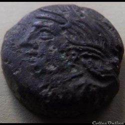 DT 2587 Bronze VANDIINOS