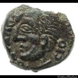 Série 517 DT 2596 bronze TOVTOBOCIO / ATEPILOS
