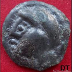 Série 24 DT 151 Potin à la tête de face  visage sous le sanglier