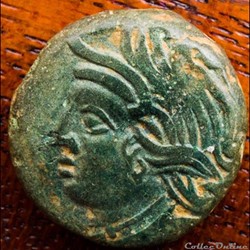 DT 2587 Bronze VANDIINOS