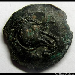 Série 1118 DT 3491 bronze au loup