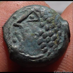 DT 687 bronze Lingon EKPITO