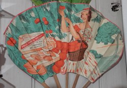 FRUCTINES VICHY