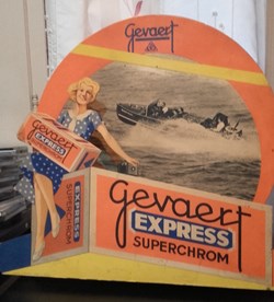 Film GEVAERT
