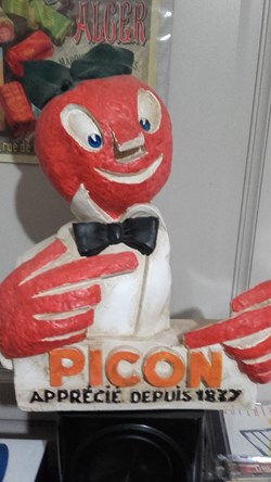 PICON